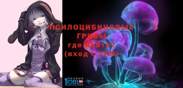 стафф Абаза