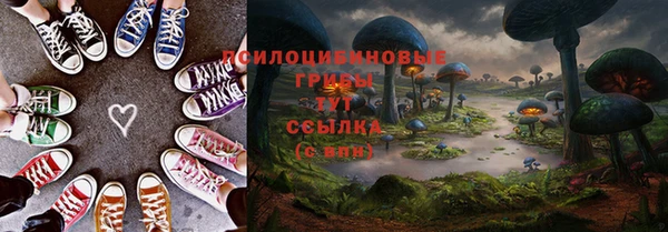 стафф Абаза