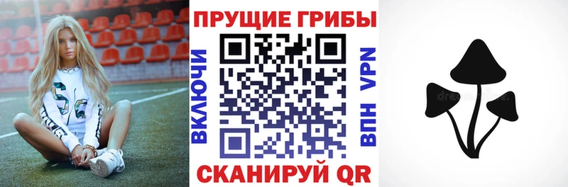 Псилоцибиновые грибы мицелий  где продают   Ростов-на-Дону 