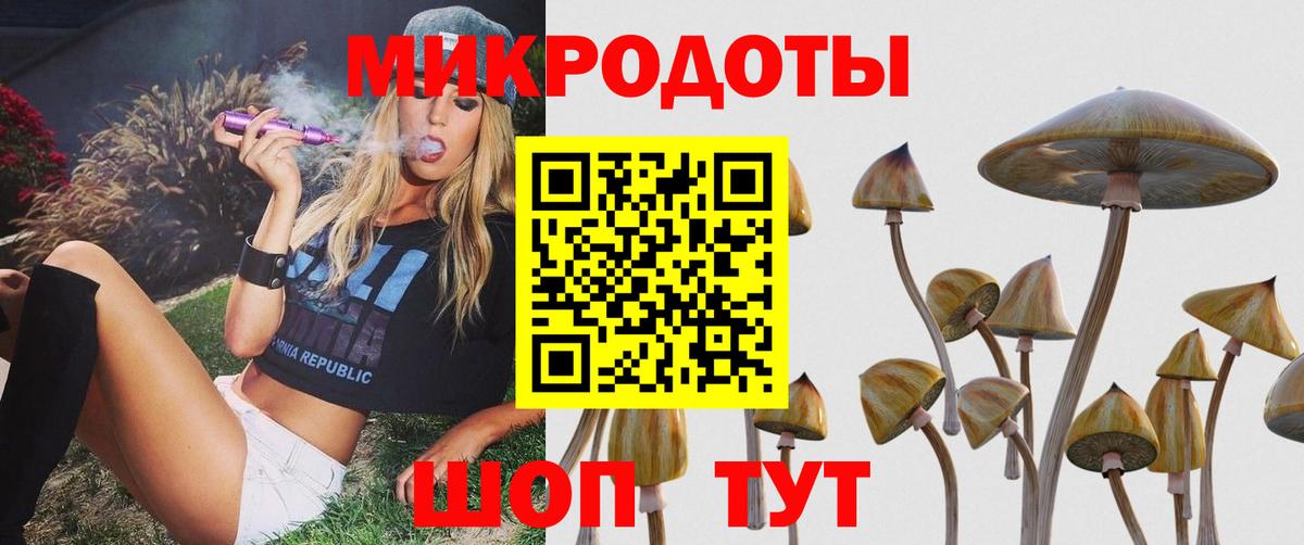 Галлюциногенные грибы Cubensis Ростов-на-Дону