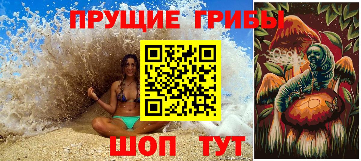 Ростов-на-Дону  Псилоцибиновые грибы мухоморы  Вход с VPN 